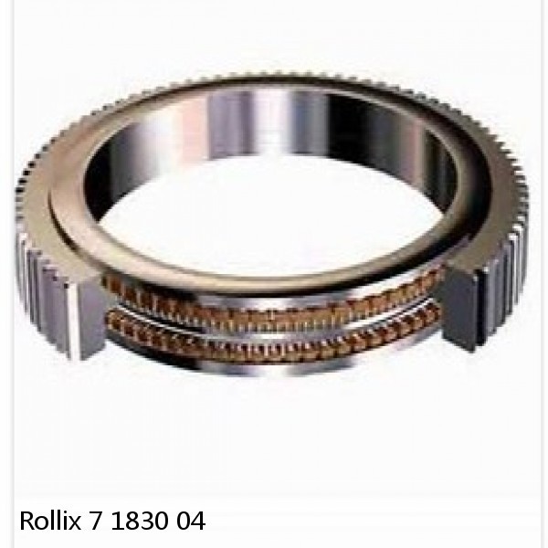 7 1830 04 Rollix Slewing Ring Bearings