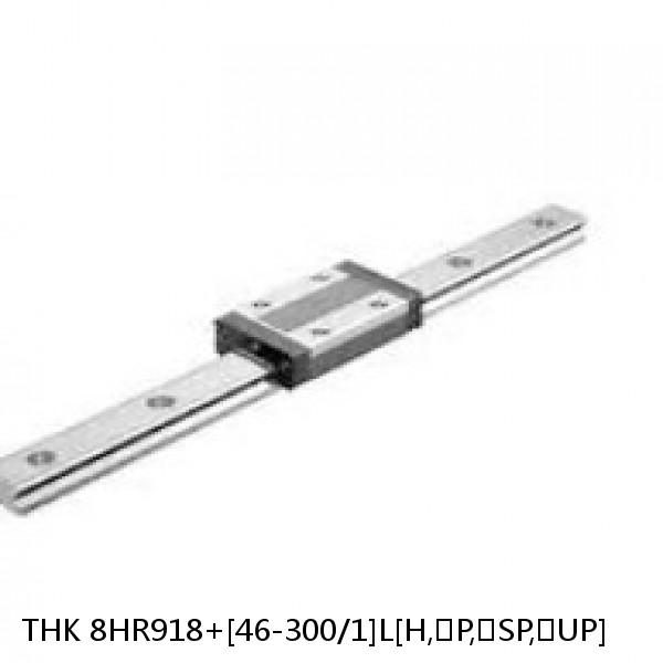 8HR918+[46-300/1]L[H,​P,​SP,​UP] THK Separated Linear Guide Side Rails Set Model HR