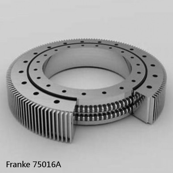 75016A Franke Slewing Ring Bearings