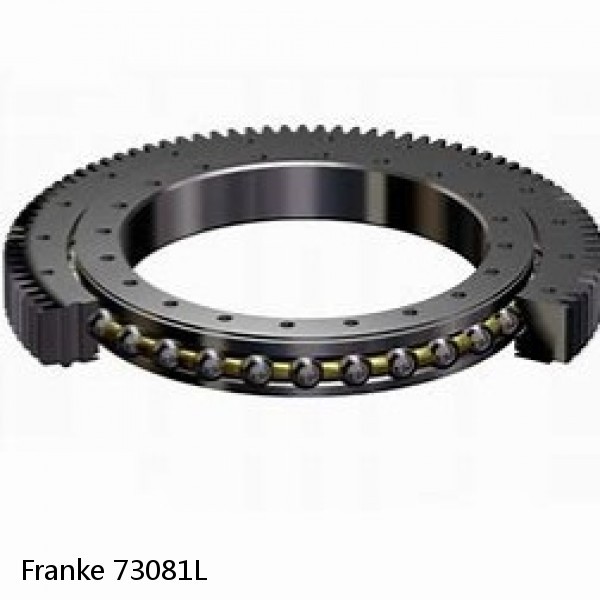 73081L Franke Slewing Ring Bearings