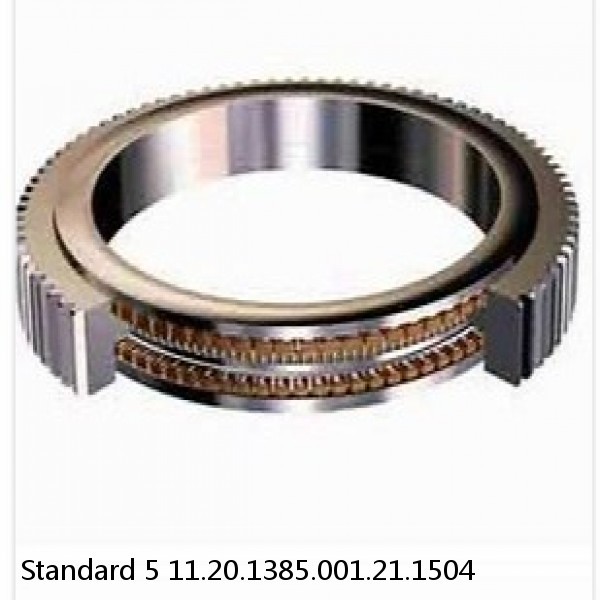 11.20.1385.001.21.1504 Standard 5 Slewing Ring Bearings