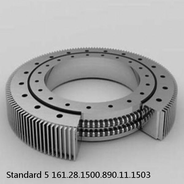 161.28.1500.890.11.1503 Standard 5 Slewing Ring Bearings