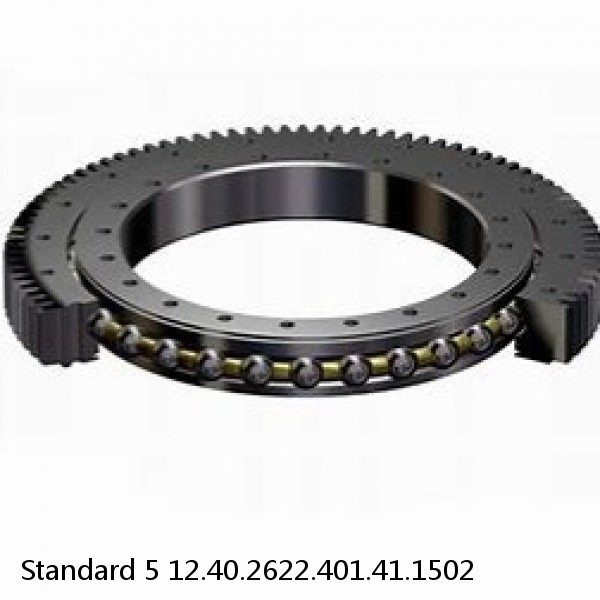 12.40.2622.401.41.1502 Standard 5 Slewing Ring Bearings