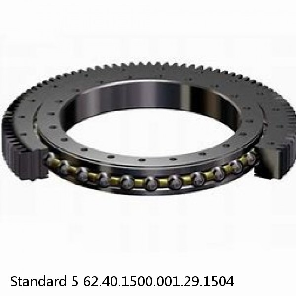 62.40.1500.001.29.1504 Standard 5 Slewing Ring Bearings