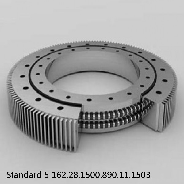 162.28.1500.890.11.1503 Standard 5 Slewing Ring Bearings