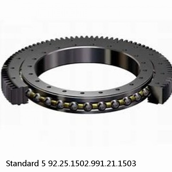 92.25.1502.991.21.1503 Standard 5 Slewing Ring Bearings