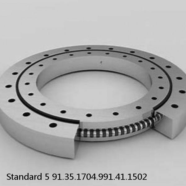 91.35.1704.991.41.1502 Standard 5 Slewing Ring Bearings