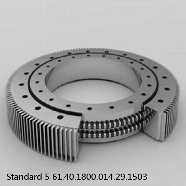 61.40.1800.014.29.1503 Standard 5 Slewing Ring Bearings