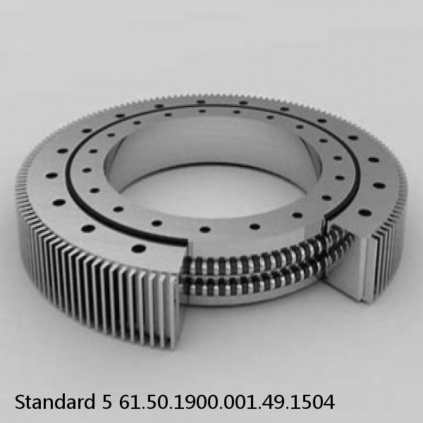 61.50.1900.001.49.1504 Standard 5 Slewing Ring Bearings