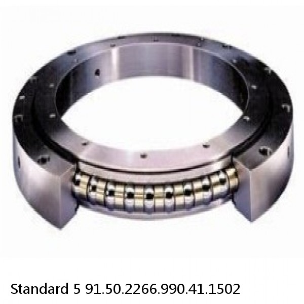 91.50.2266.990.41.1502 Standard 5 Slewing Ring Bearings