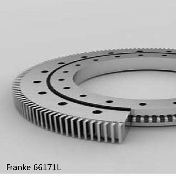 66171L Franke Slewing Ring Bearings