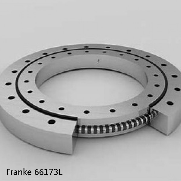 66173L Franke Slewing Ring Bearings