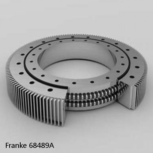 68489A Franke Slewing Ring Bearings