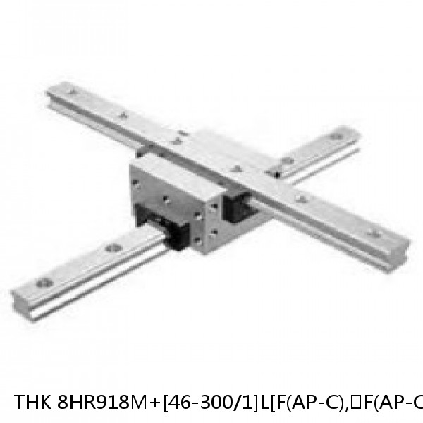 8HR918M+[46-300/1]L[F(AP-C),​F(AP-CF),​F(AP-HC)]M THK Separated Linear Guide Side Rails Set Model HR